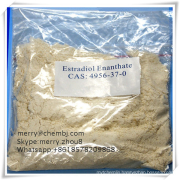 Synthetic Hormone Powder Estradiol Enanthate for Women CAS 4956-37-0